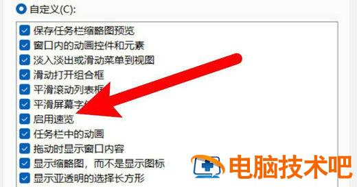 win11如何开启速览功能 关闭win11预览版体验 系统教程 第4张