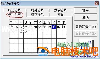 在Word中平方米符号怎么打 word中平方米符号怎么打出来 软件办公 第4张