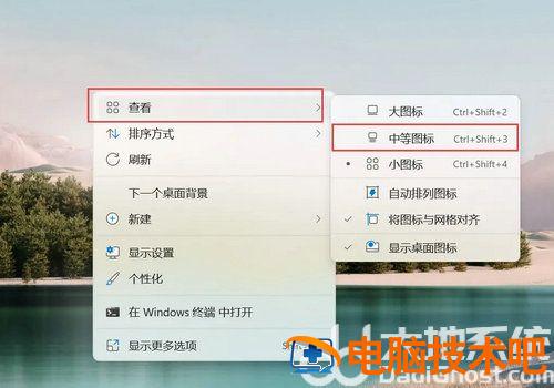 windows11桌面图标大小怎么调 window10怎么调桌面图标大小 系统教程 第2张