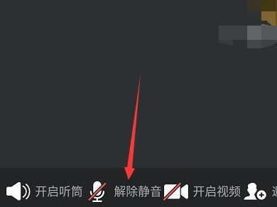 腾讯会议不自动连接音频怎么办 腾讯会议自动连接音频是开启麦克风吗 电脑技术 第3张