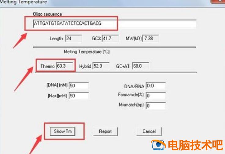 dnaman如何设计引物 dnaman设计引物教程反向引物 软件办公 第4张