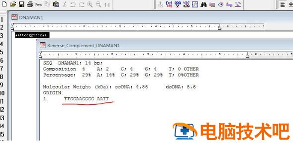 dnaman如何得到反向互补的DNA序列 dnaman怎么反转序列 软件办公 第6张