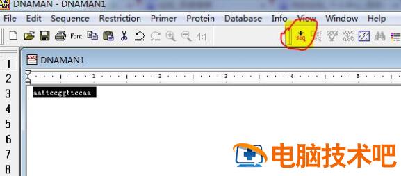 dnaman如何得到反向互补的DNA序列 dnaman怎么反转序列 软件办公 第4张