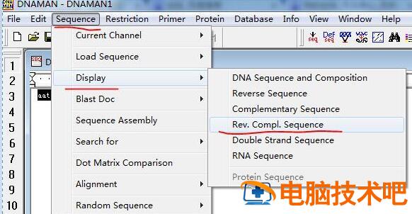 dnaman如何得到反向互补的DNA序列 dnaman怎么反转序列 软件办公 第5张