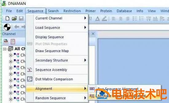 dnaman怎样导出序列比对图 dnaman的图怎么导出 软件办公 第2张