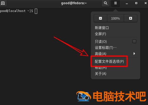 Fedora系统怎么设置打开新终端时默认打开新标签页 软件办公 第3张